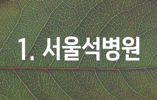 1. 서울석병원