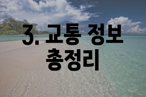 3. 교통 정보 총정리