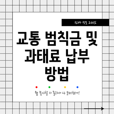 교통 범칙금 및 과태료 납부 방법