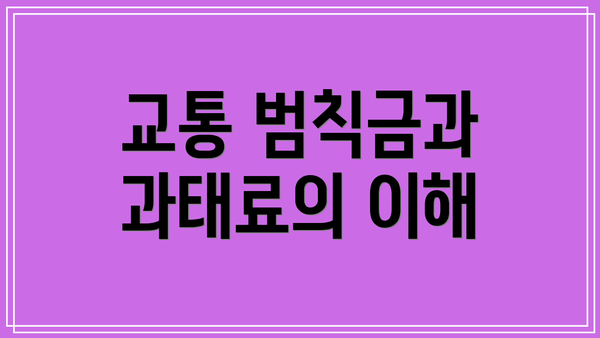 교통 범칙금과 과태료의 이해