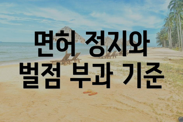 면허 정지와 벌점 부과 기준