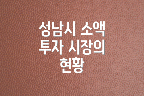 성남시 소액 투자 시장의 현황