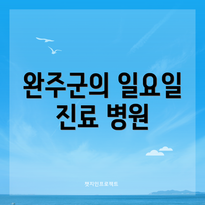 완주군의 일요일 진료 병원