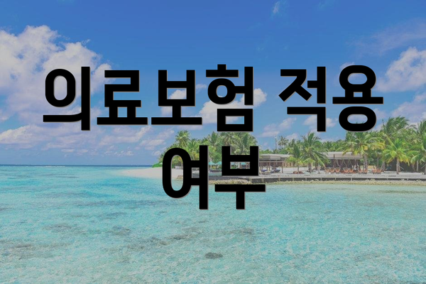 의료보험 적용 여부