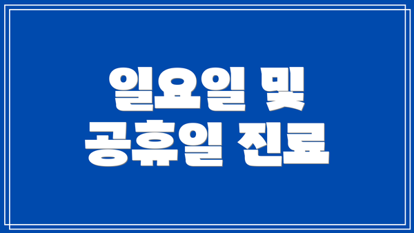 일요일 및 공휴일 진료